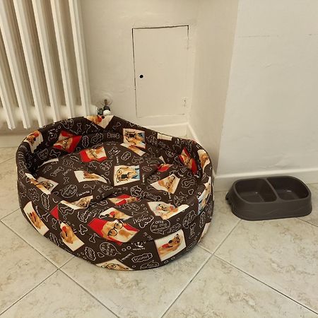 ホテル Casa Porsia アルタムラ エクステリア 写真